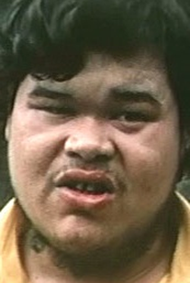 Fu Hung Cheng - Poster 2