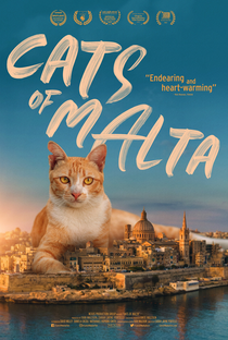 Cats of Malta - Poster / Capa / Cartaz - Oficial 1