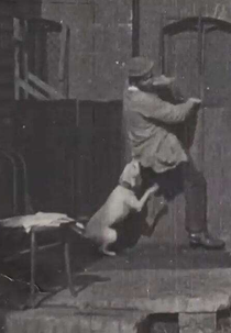 The Tramp and the Dog (The Tramp and the Dog)