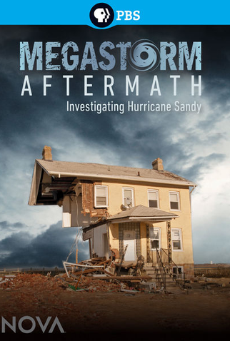 Poster 1 de Série Megastorm Aftermath (2012)