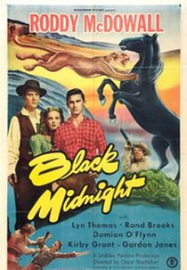 O Chicote Fatal (Black Midnight)