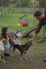 Episodio 26 (Episodio 26)