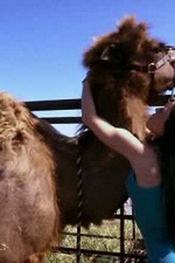 Poster de Episódio Camel in Tow (2012)