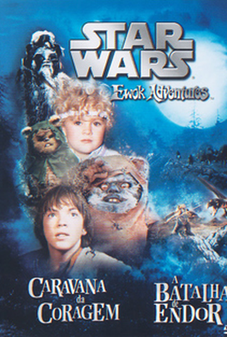 Poster 3 de Filme Caravana da Coragem (1984)