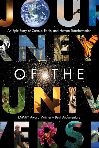 Poster 1 de Filme Jornada do universo (2011)