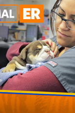 Pronto-Socorro Animal (1ª Temporada) (Animal ER (Season 1))