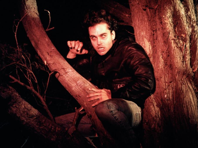 Foto 13 de Os Garotos Perdidos