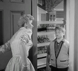 Beaver's Guest