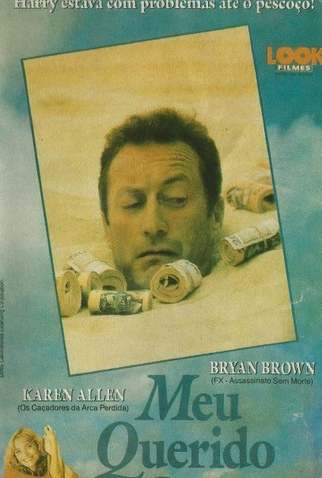 Poster 1 de Filme Meu Querido Golpista (1991)