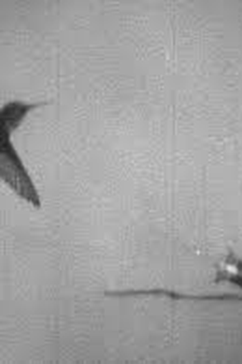  de Curta High Over the Borders (1942)