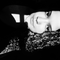 vivianddutra007