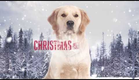 Christmas with Tucker - Hallmark Movie Channel