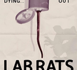 Lab Rats