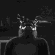 darkog3m