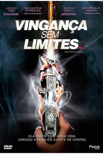 Vingança Sem Limites - Poster / Capa / Cartaz - Oficial 3