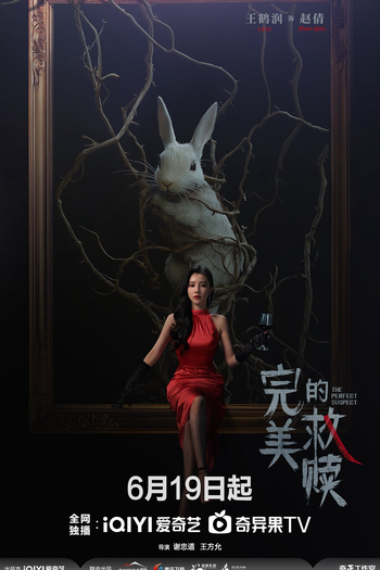  de Série The Perfect Suspect (2025)