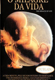O Milagre da Vida (Odyssey of Life)