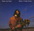 Tears for Fears: Break It Down Again