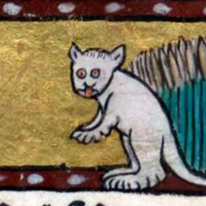 Foto de perfil de bulacha crim crack