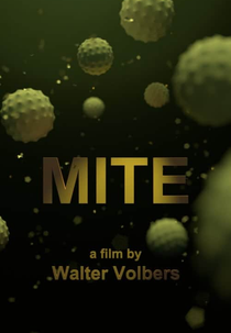 Mite (Mite)