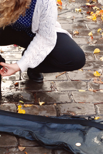 Poster de Curta Como é Bonito o Elefante (2010)