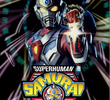 Superhuman Samurai Syber Squad