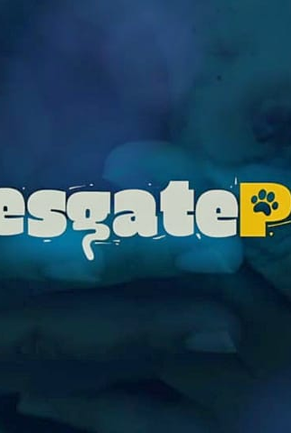 Poster 1 de Série Resgate Pet (2019)