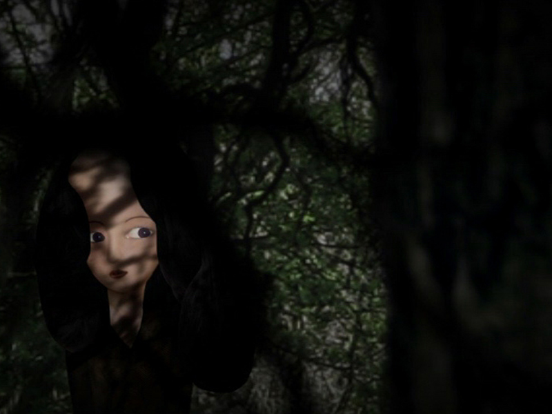 Foto 1 de The Forest