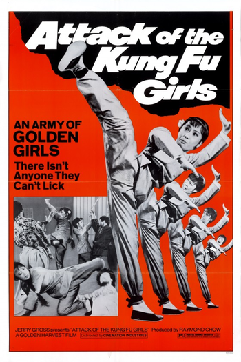  de Filme A Garota do Kung-Fu (1973)