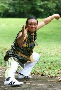 San-Chu Wu - Poster 1
