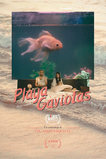  de Curta Playa Gaviotas (2019)