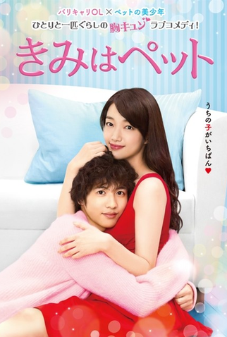 Poster 1 de Série Kimi wa Petto (2017)