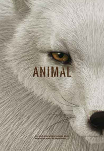 Animal (Animal)