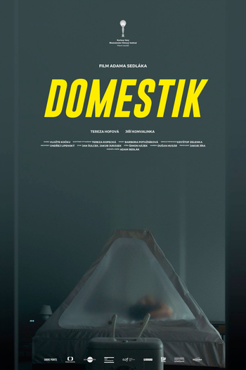Poster de Filme Domestique (2018)