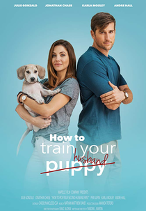 Como Treinar o Seu Marido (How to Pick Your Second Husband First)