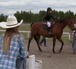 The Starting Gate