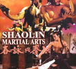 As Artes Marciais de Shaolin
