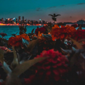 Foto de perfil de Kátia Souza