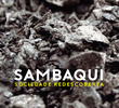 Sambaqui - Sociedade redescoberta