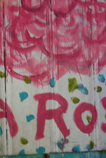 A Rosa - Poster / Capa / Cartaz - Oficial 1