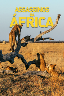 Assassinos da África - Poster / Capa / Cartaz - Oficial 1