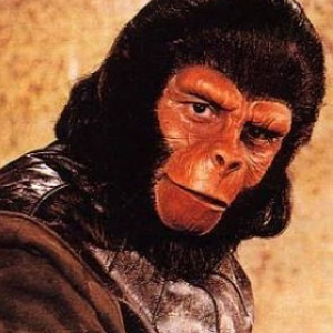Foto de perfil de Germano Luders