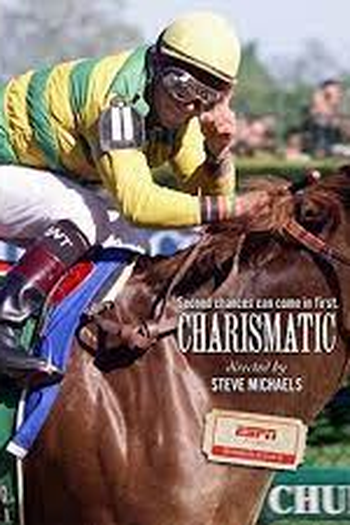Poster de Filme Charismatic (2011)