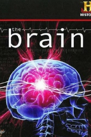 Poster de Franquia The Brain (2008)