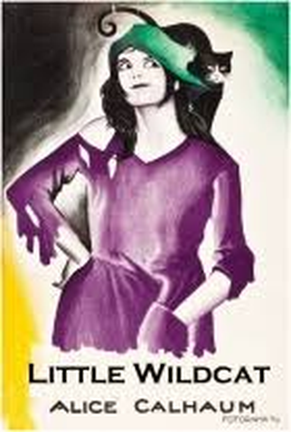 Poster 1 de Filme Little Wildcat (1922)