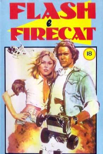 Flash e Firecat - Poster / Capa / Cartaz - Oficial 1