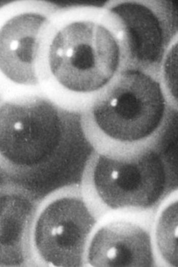  de Curta Filmstudie (1926)