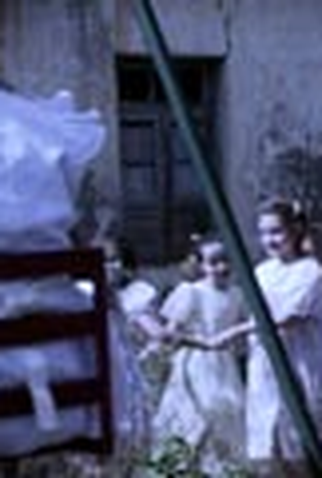 Poster 1 de Curta Crisálidas (None)