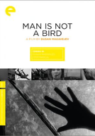 O Homem Não É Um Pássaro