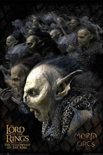  de Filme O Senhor dos Anéis: A Sociedade do Anel (2001)